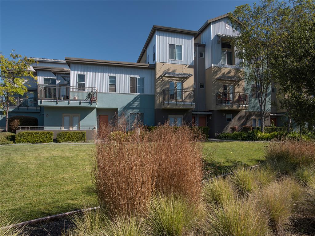 Azure Apartment Homes photo 5